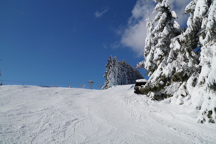 Wohnmobilpark Winterberg - Region