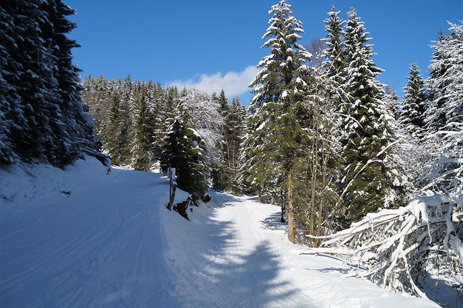 Wohnmobilpark Winterberg - Region