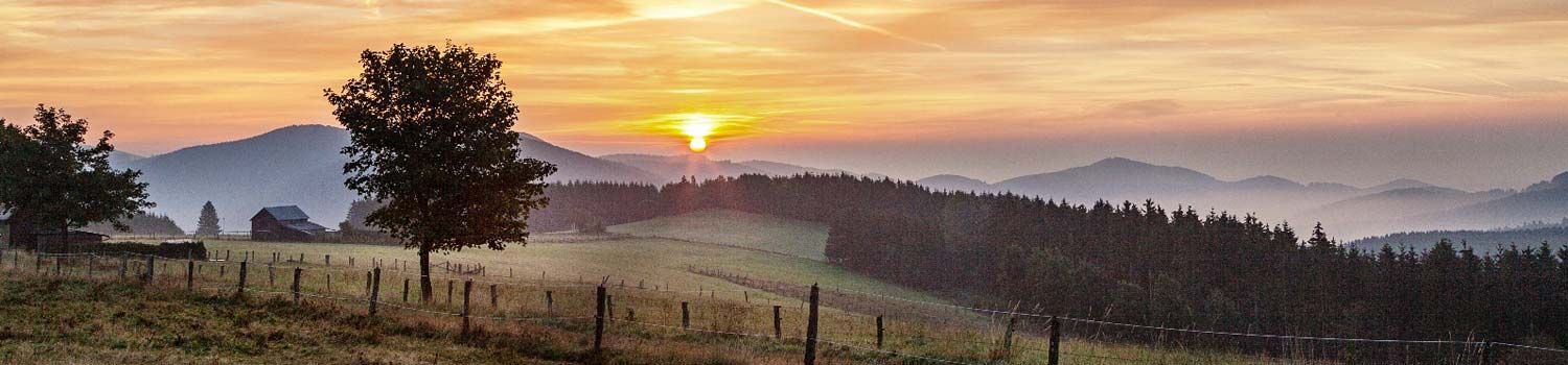 Die Sonne geht über einem Wald unter, im Vordergrund ist ein Zaun zu sehen.