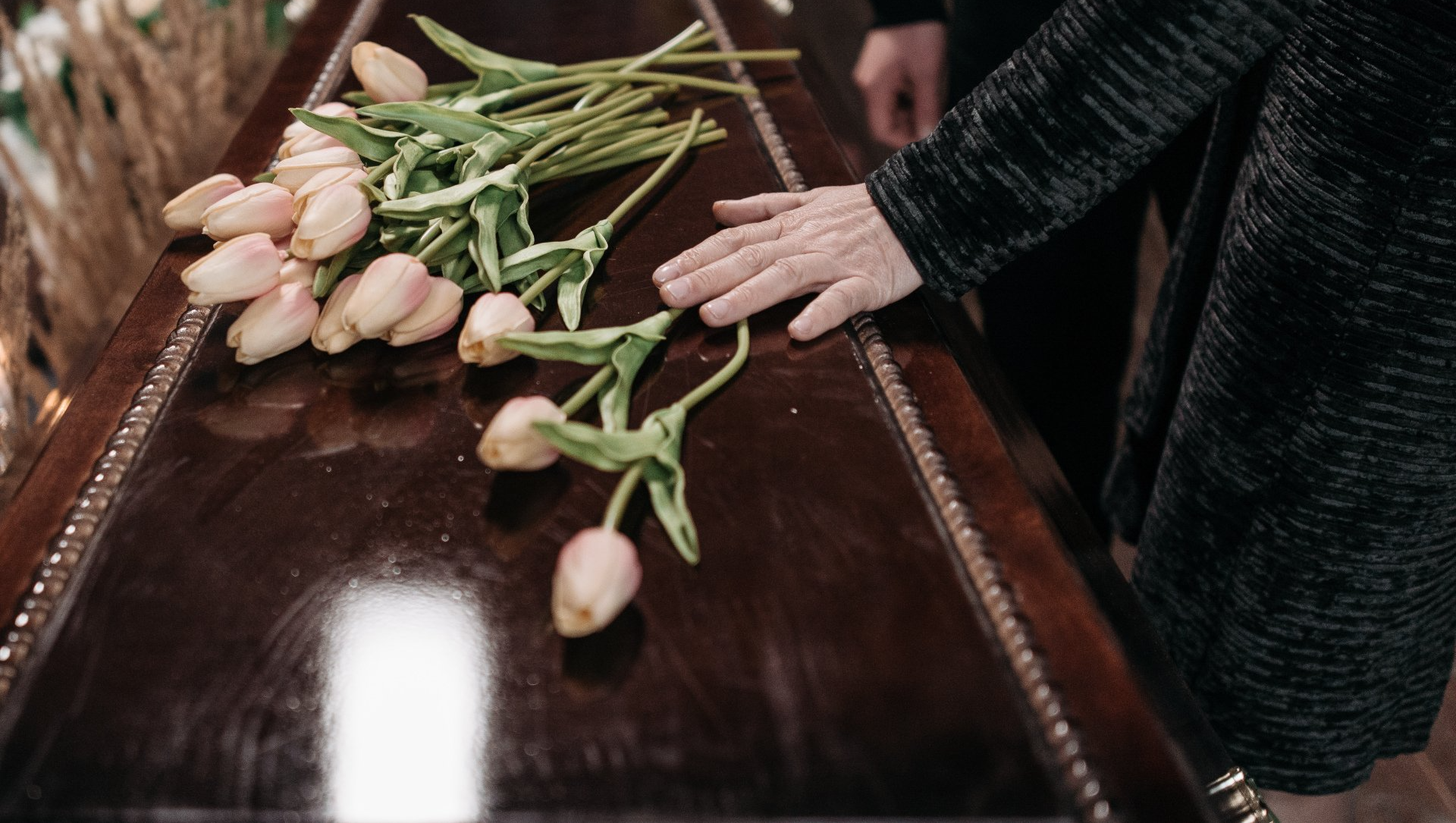 Cercueil fermé avec des tulipes roses dessus