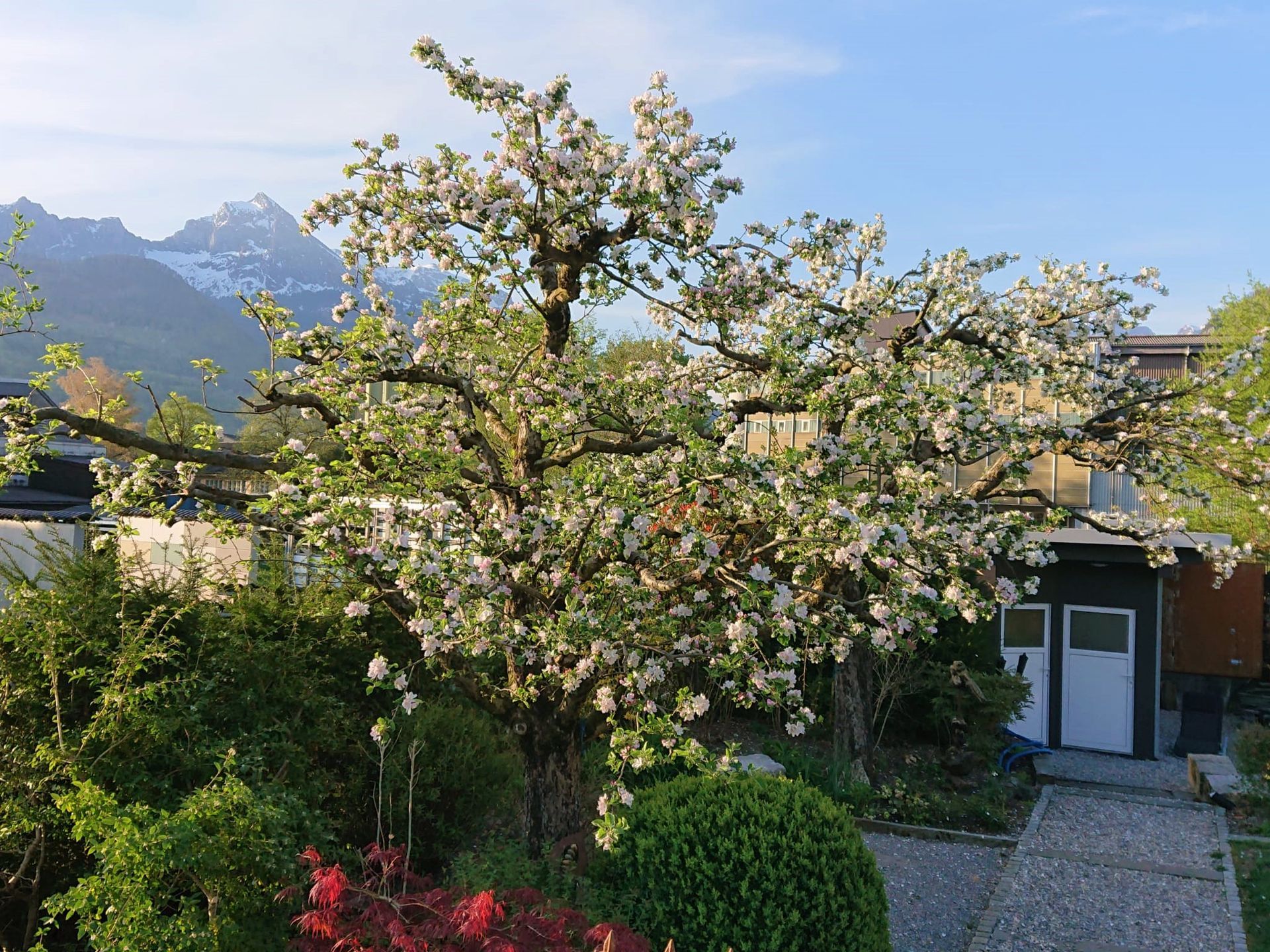 Kundengärtner - Gartenbau Hans Zahner GmbH - Niederurnen