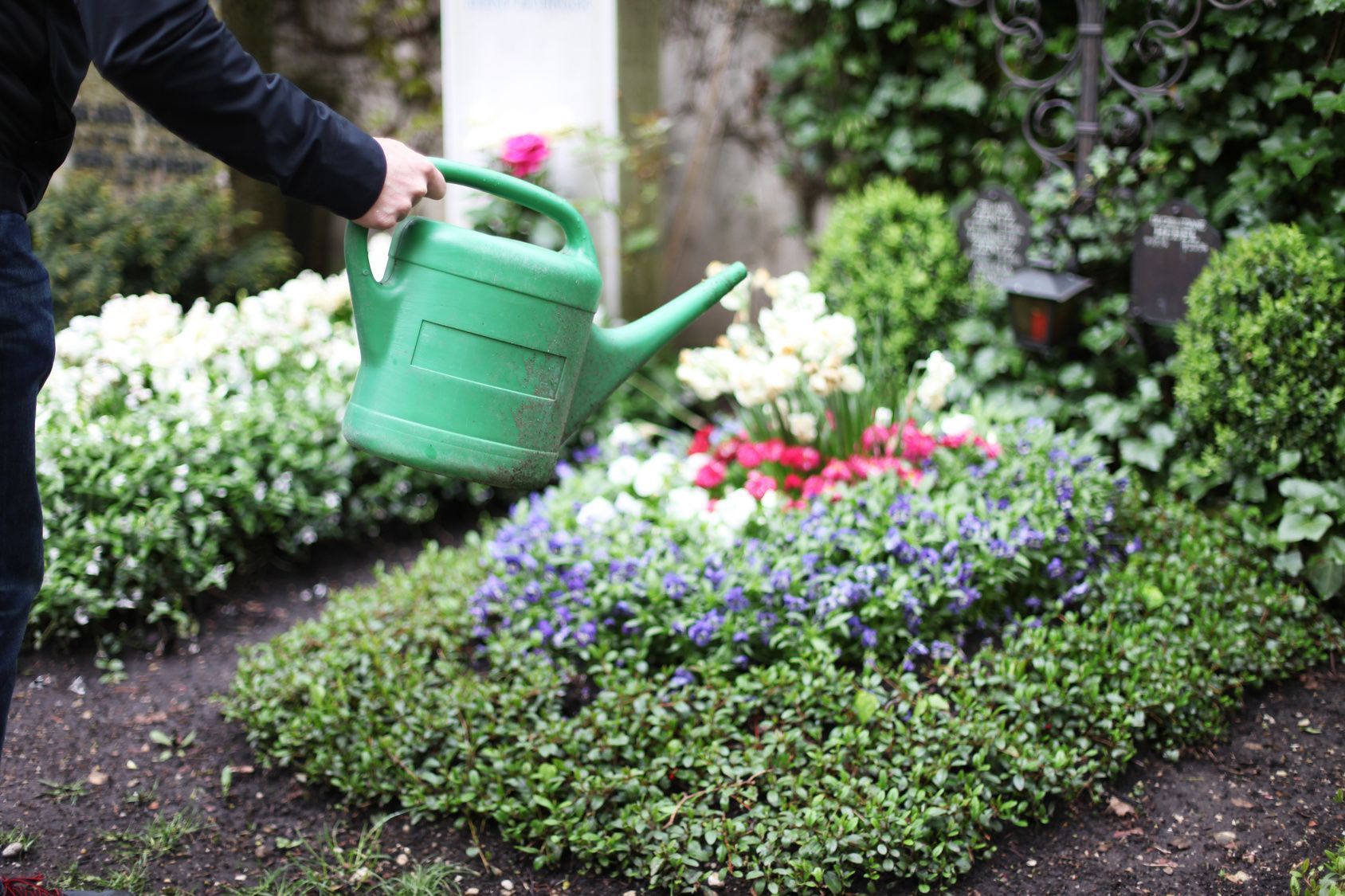 Bepflanzung Grab - Gartenbau Hans Zahner GmbH - Niederurnen