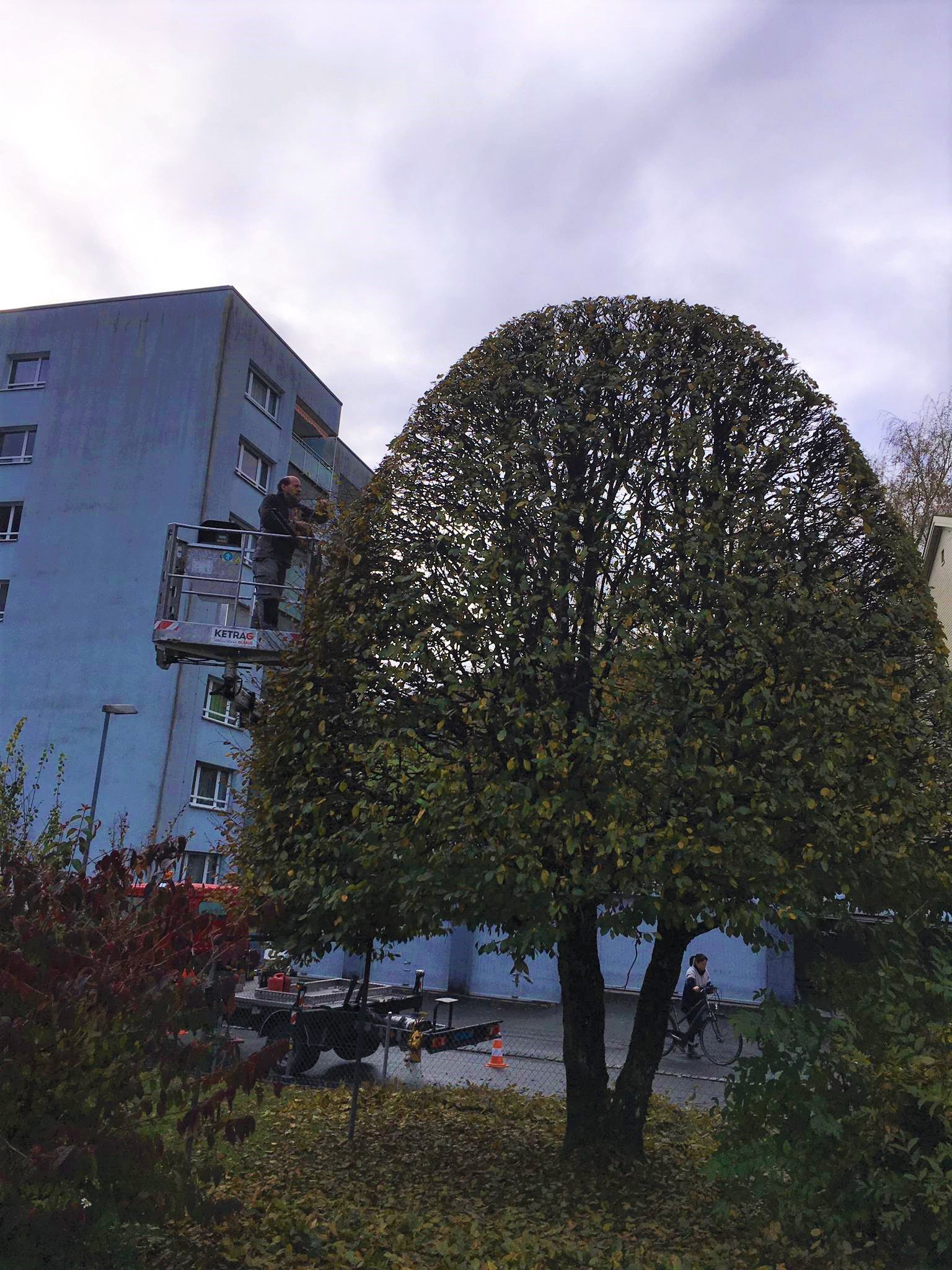 Gartenunterhalt Hans Zahner GmbH| Niederurnen