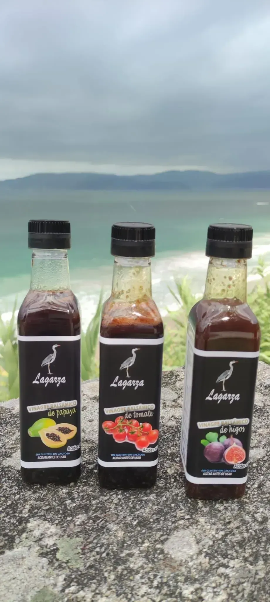 Tres botellas de salsa con etiquetas de frutas, sobre una superficie de piedra con fondo oceánico.