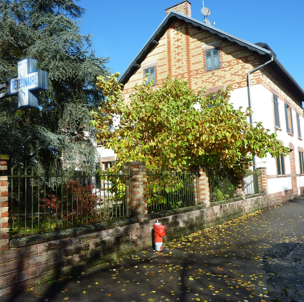 Bâtiment de vétérinaire avec une enseigne en forme de croix, entouré d'une clôture en briques et d'arbres sous un ciel ensoleillé.