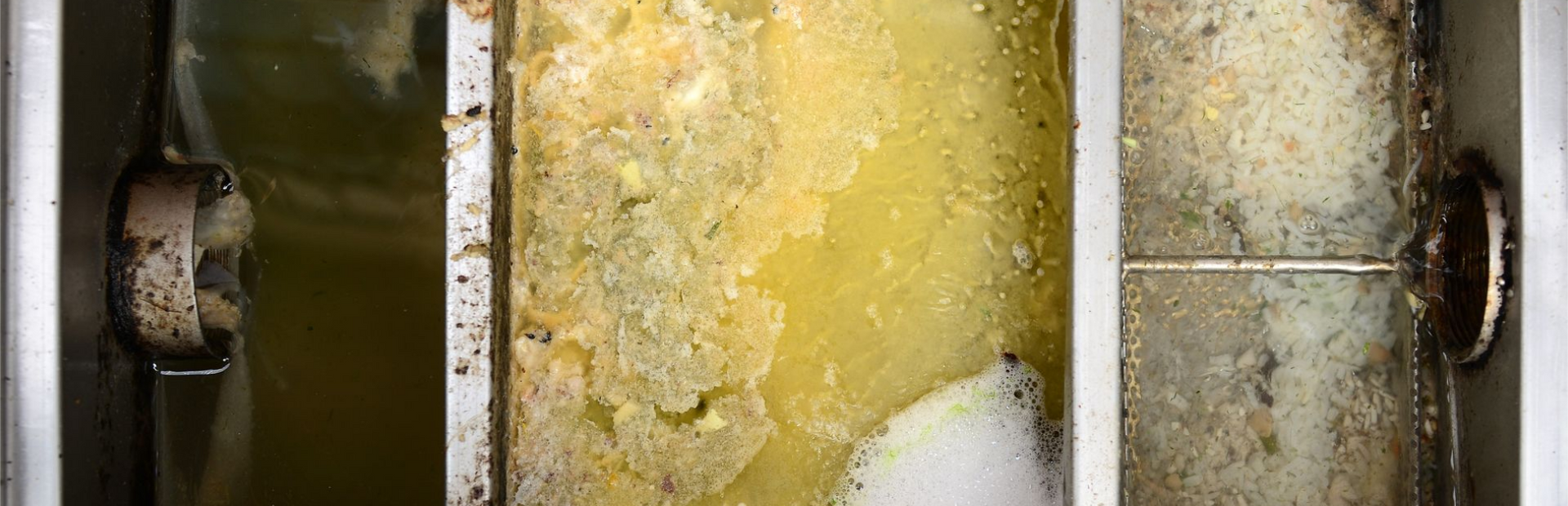 Trois compartiments contenant des liquides gras.