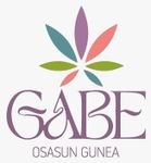 Logotipo con un icono de hoja estilizada y colorida sobre el texto morado "GABE" y el texto más pequeño.