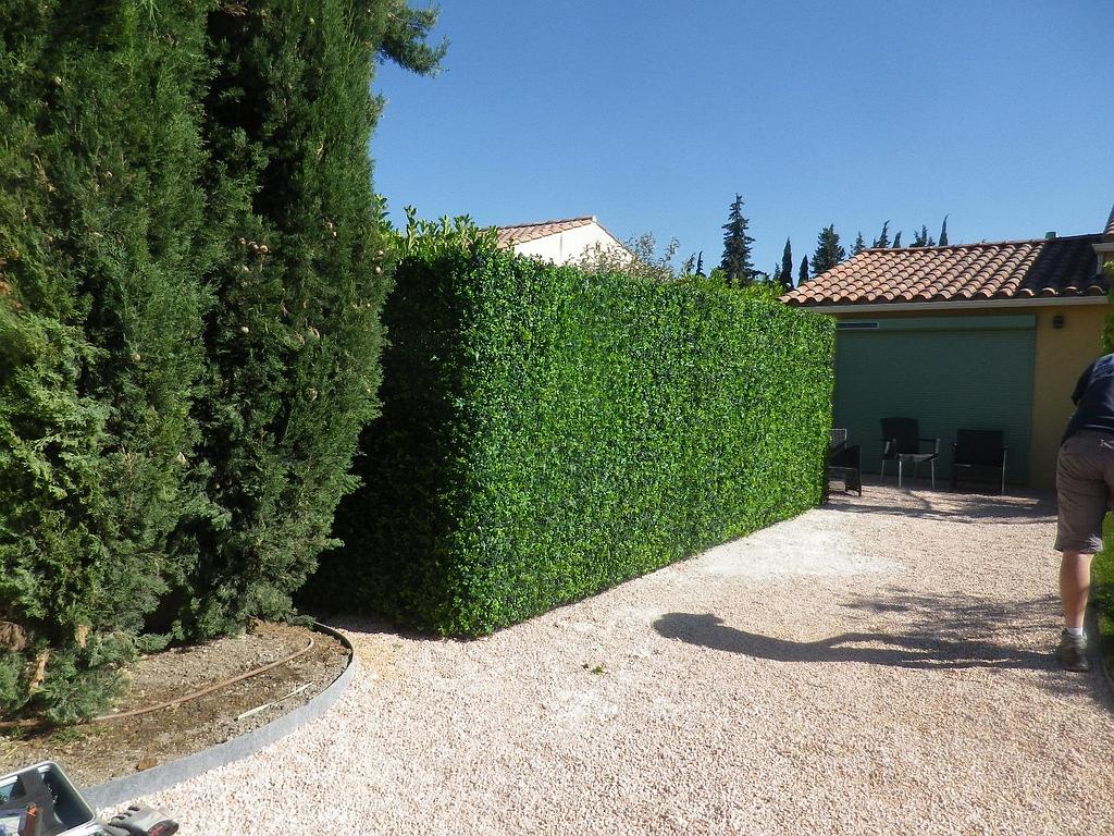 457 Chemin De Mangepan Isle Sur La Sorgue