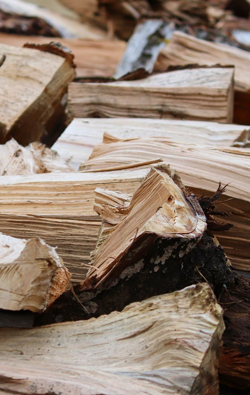 Des bûches de bois