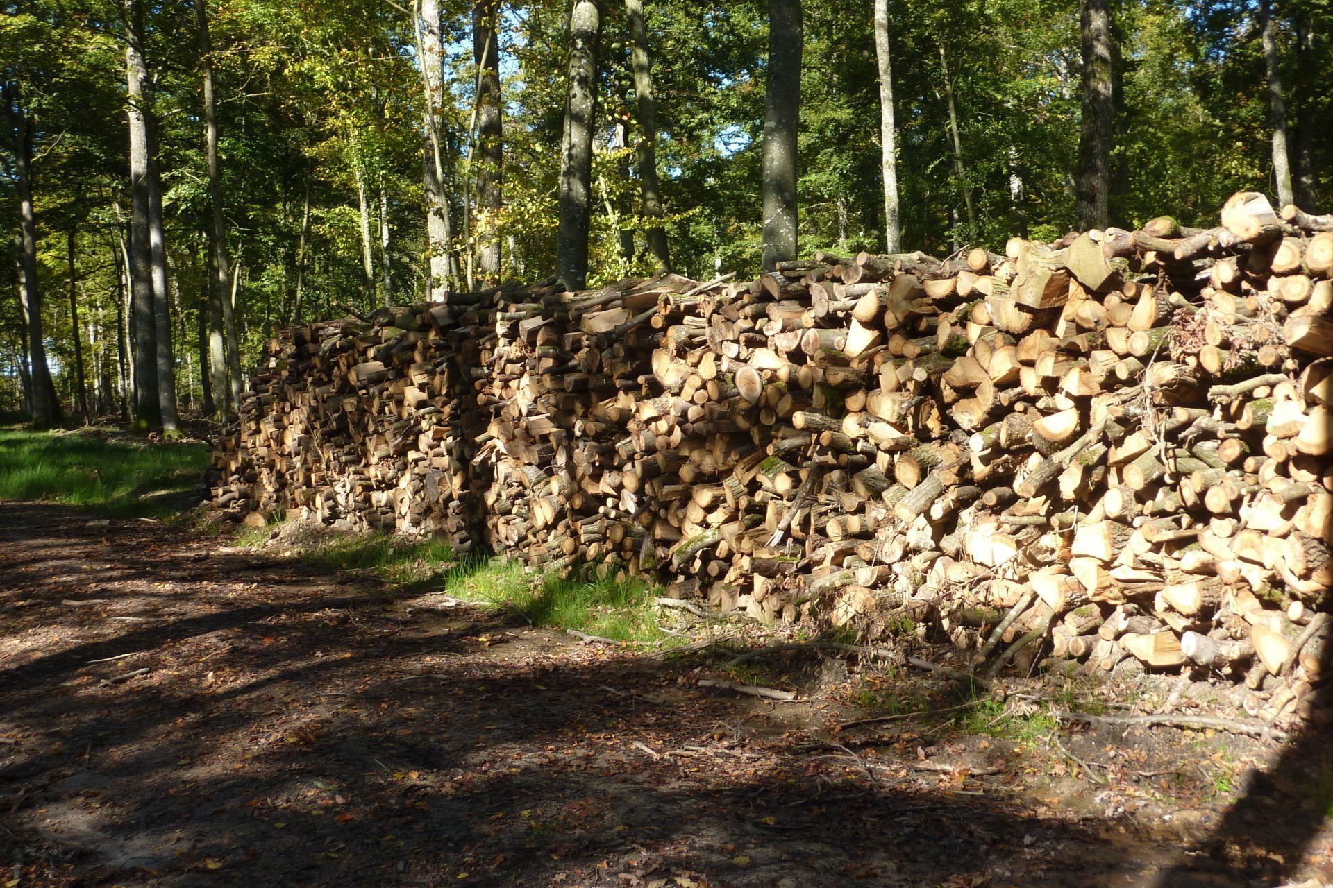 Des rondins empilés