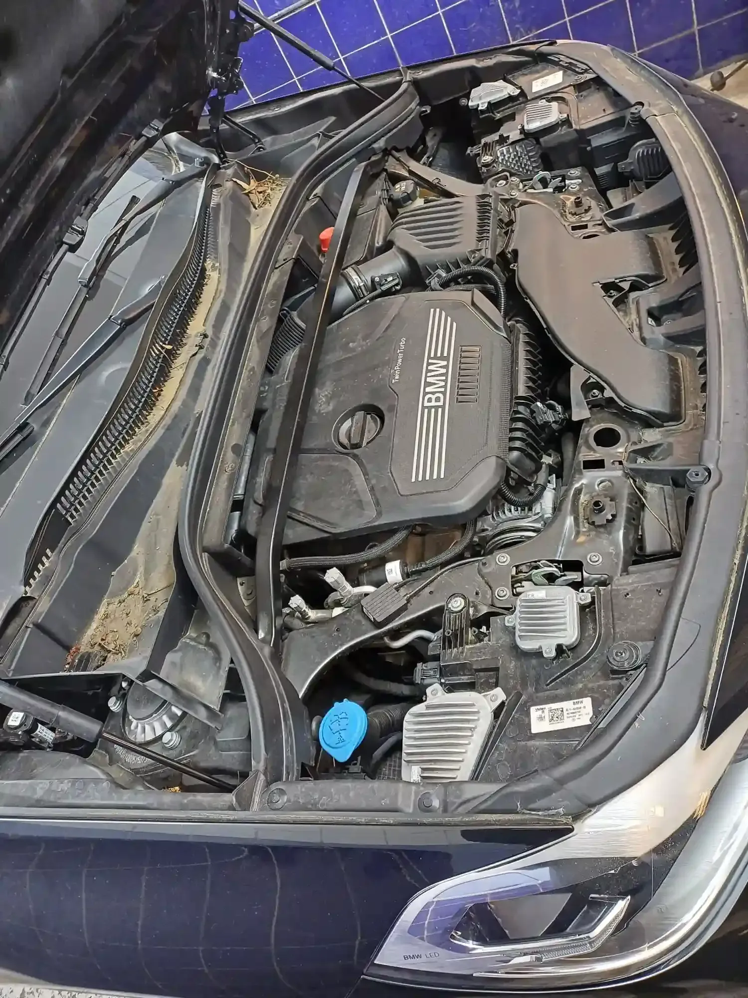 Capó abierto que deja ver el compartimento del motor con los componentes del motor expuestos y la tapa azul del líquido.