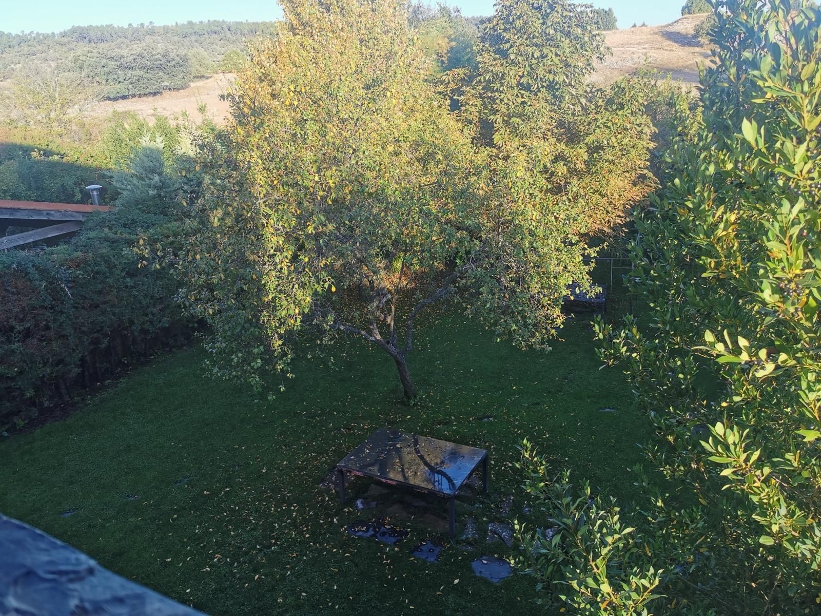Patio trasero con un gran árbol frondoso, césped verde y colinas lejanas bañadas por la cálida luz del sol.