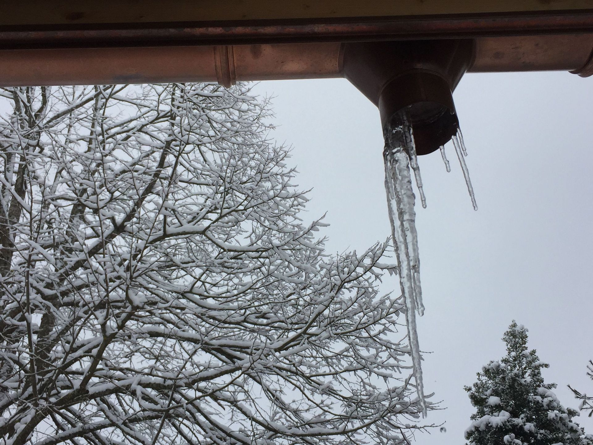 Dachrinne Kupfer - Tobler Spenglerei und Bedachungen