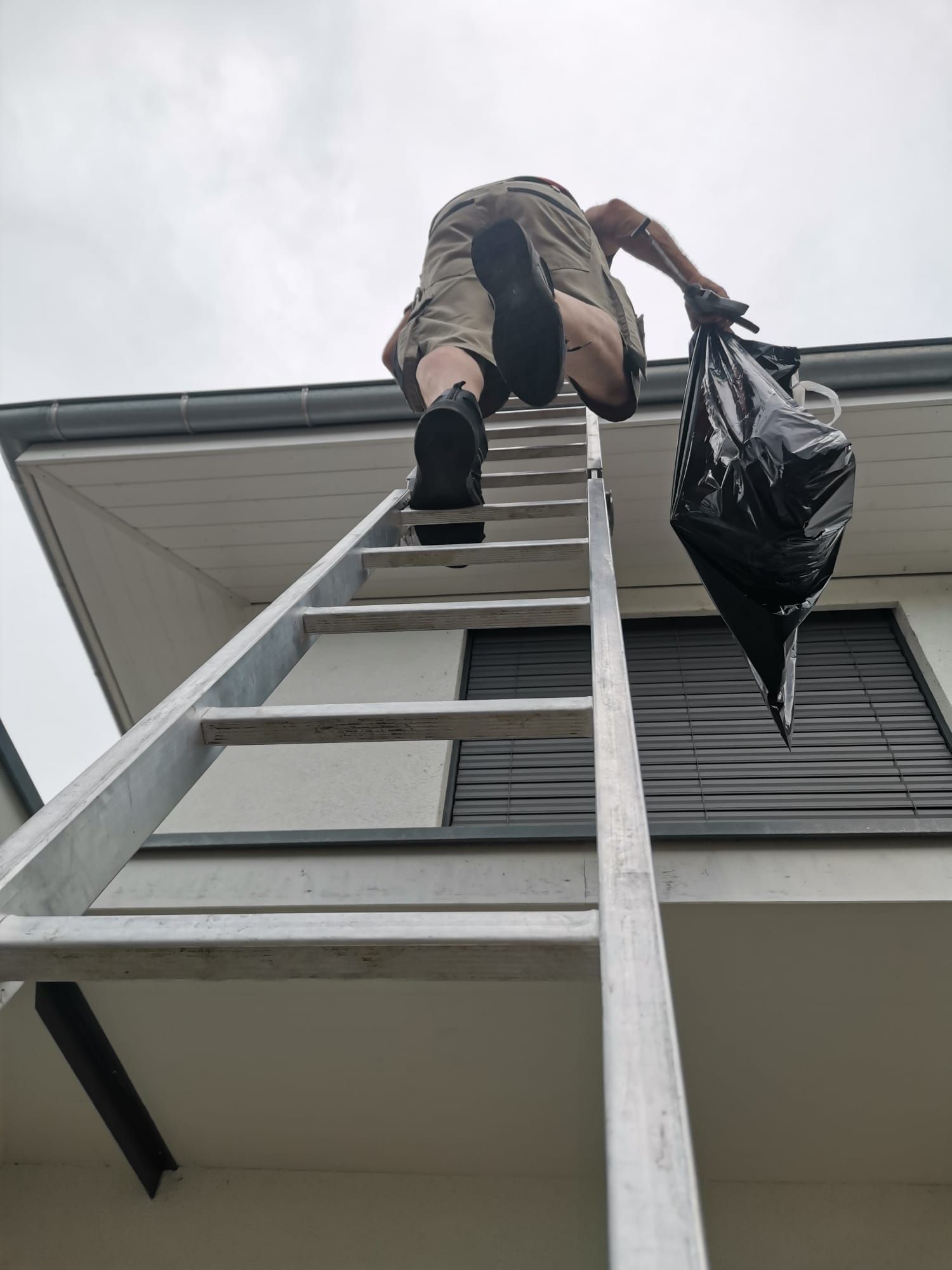 Rinnen-und Dachreinigung-Tobler Spenglerei und Bedachungen