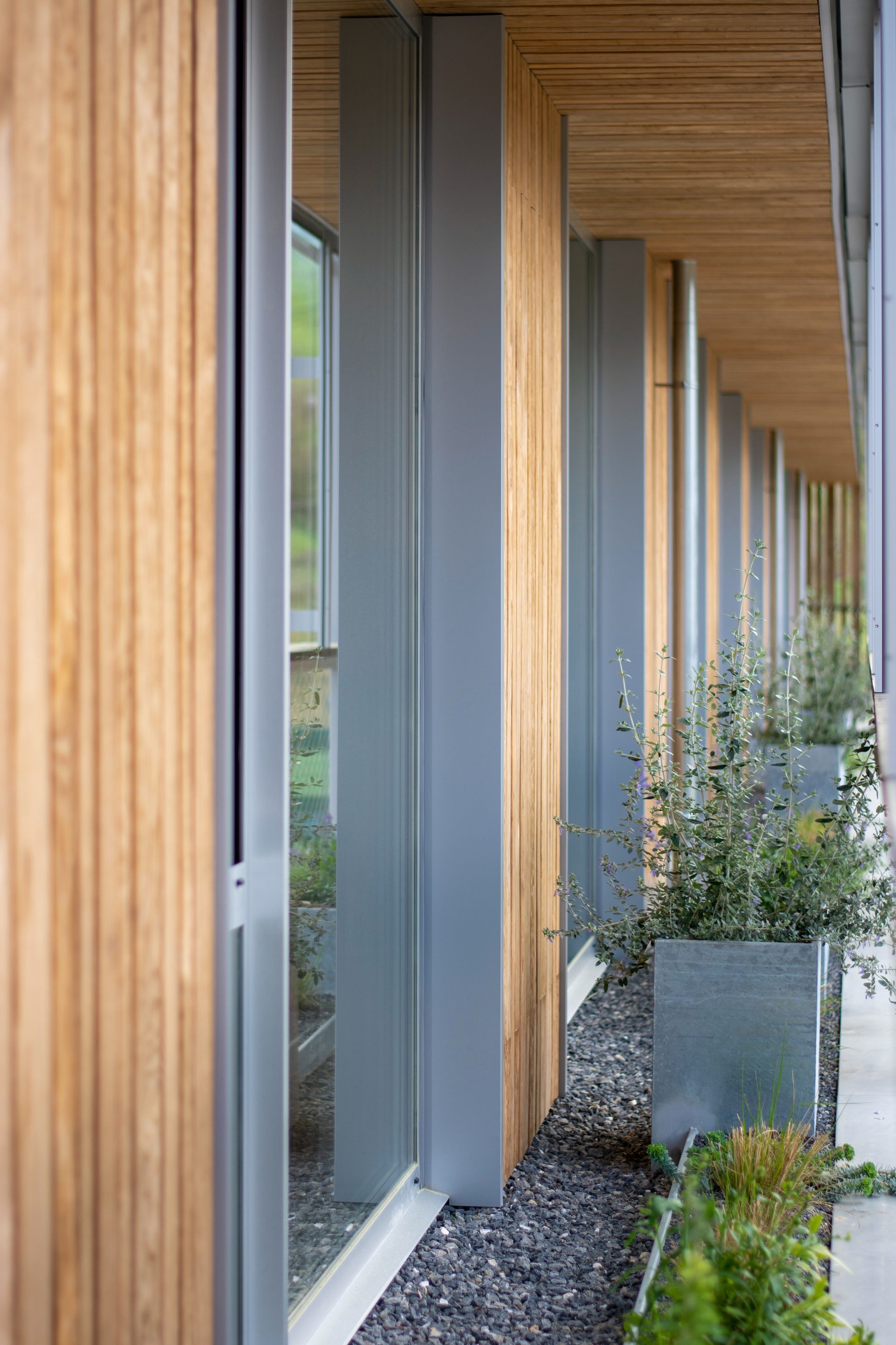 Un largo pasillo con muchas ventanas y jardineras en el suelo.