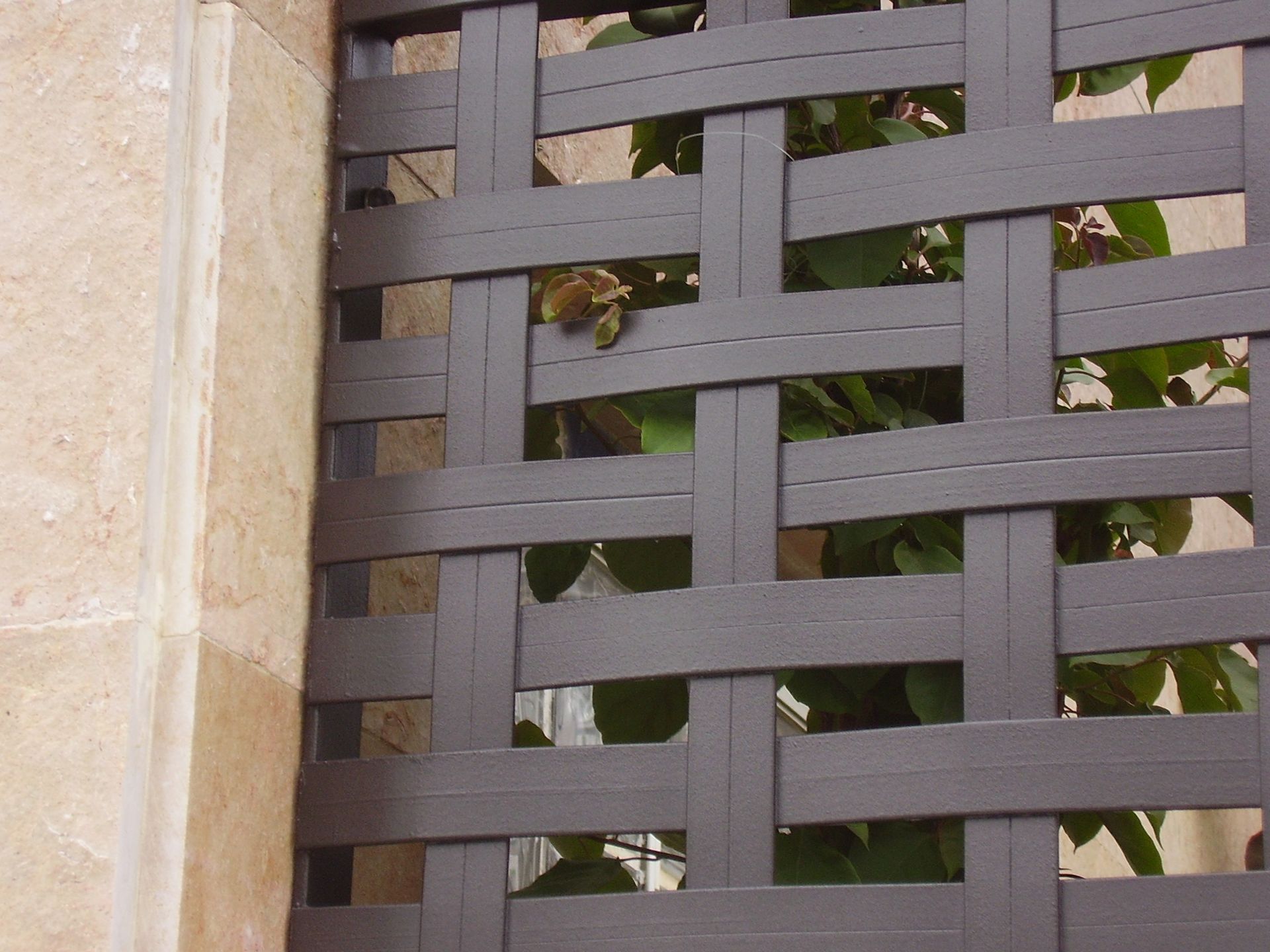 Un primer plano de una valla con una planta detrás.