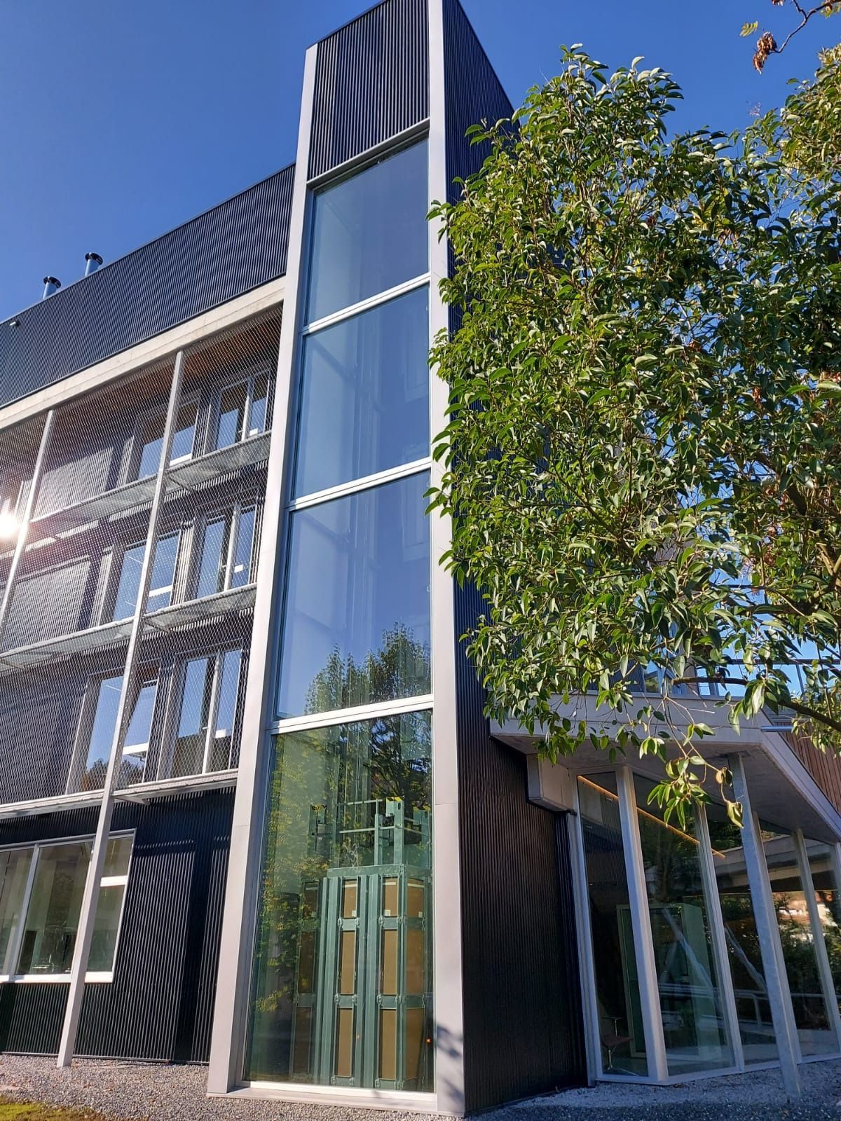 Un edificio alto con muchas ventanas y un árbol delante.