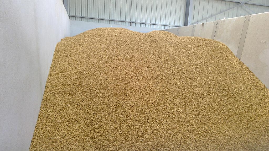 Tas de grains stockés pour l'alimentation du bétail