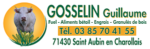 Logo Gosselin Guillaume