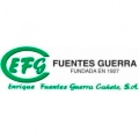 El logo de Fuentes Guerra es verde y blanco.