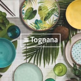 Una variedad de platos y cuencos están sobre una mesa con el logotipo de Tognana.