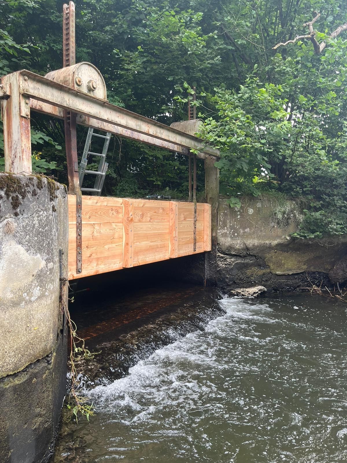 Wasser fließt unter einer Holzbarriere in einer Betonkonstruktion hindurch, darüber befinden sich metallene Maschinen. Üppige grüne Bäume umgeben das Gebäude.