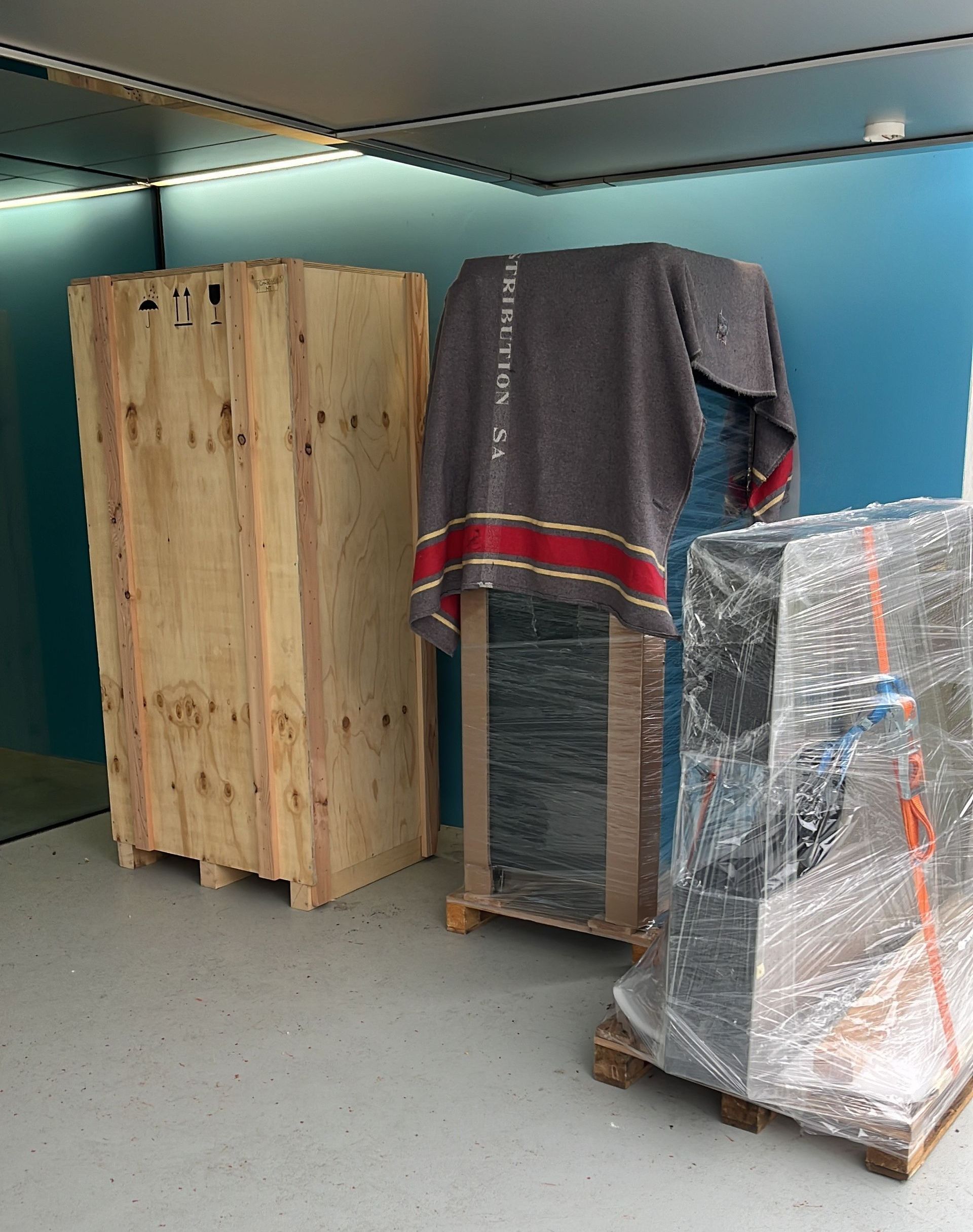 Un homme et une femme portent un canapé dans un salon.