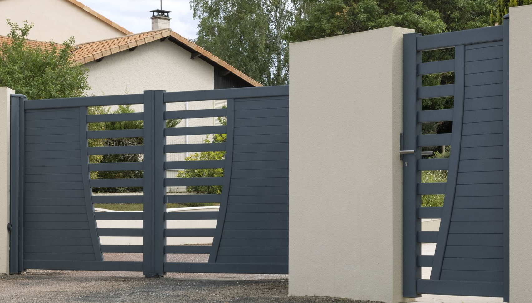 Rosiers grimpants fleuris sur un mur extérieur