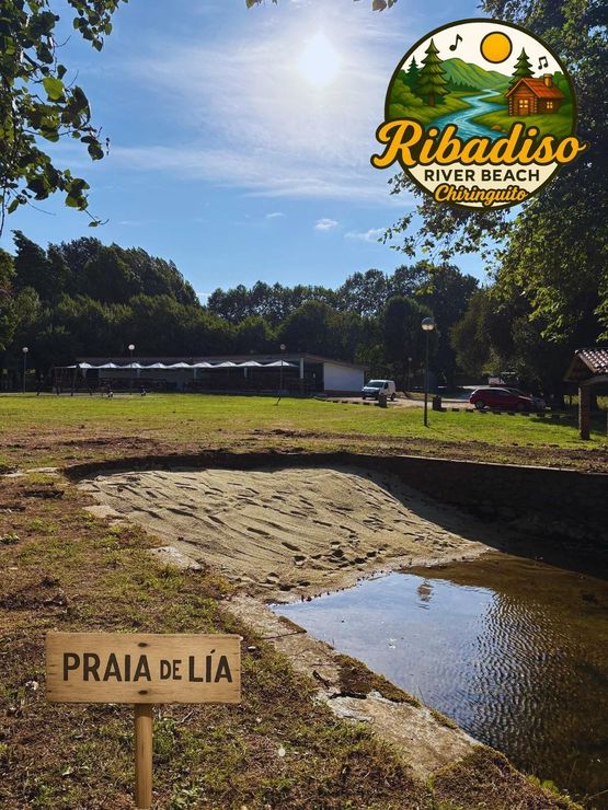Un grupo de mujeres brinda con champán y bebidas.