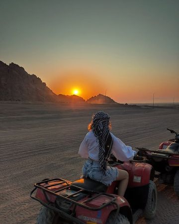 safari