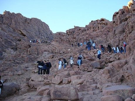 mount sinai