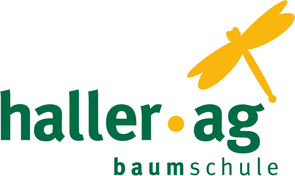 Logo Haller AG