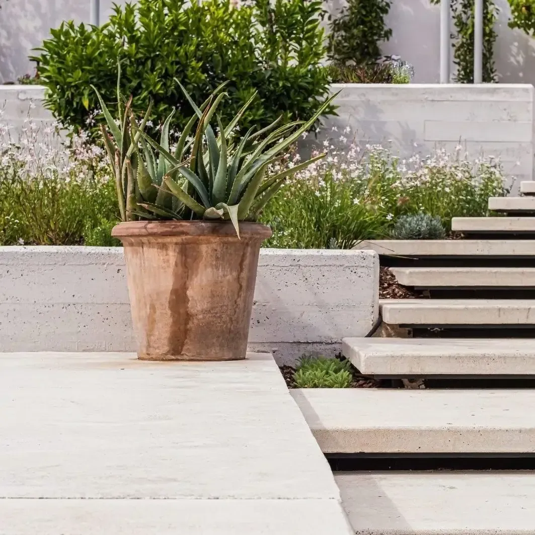 Planta de aloe en una maceta de terracota en un patio de hormigón con escalones y parterres escalonados.