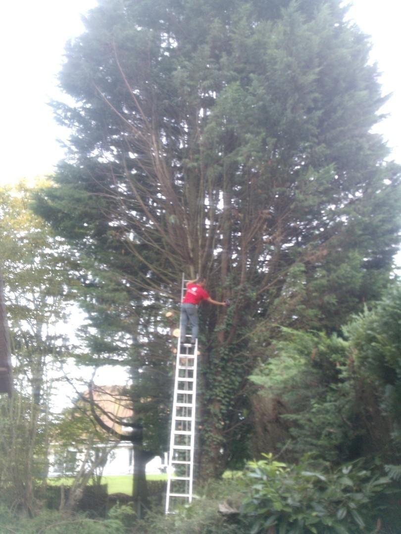 Homme sur une échelle
