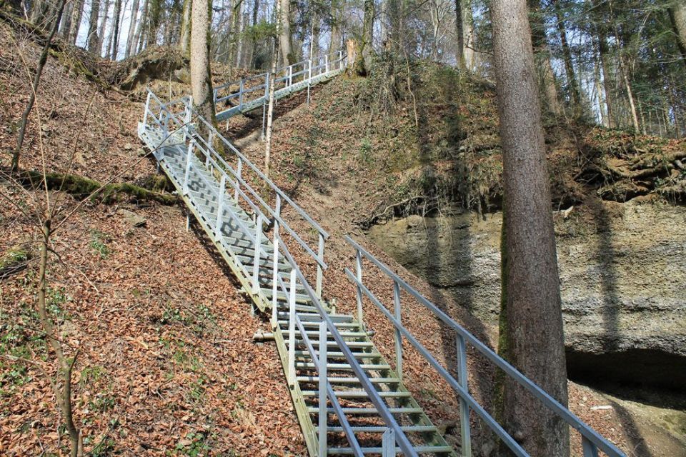 Stahltreppe im Wald