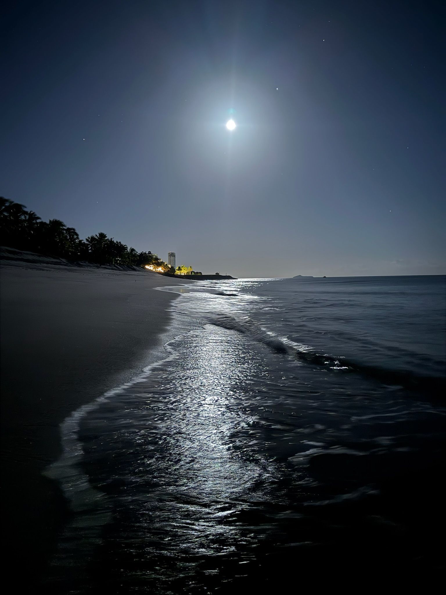 Moonlit beach scene. Moon reflects on the ocean waves, with a dark shoreline and stars in the night sky.