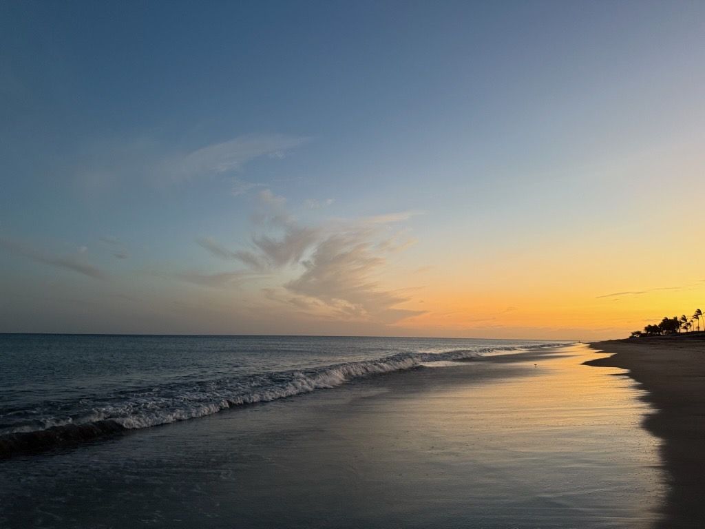 Moonlit beach scene. Moon reflects on the ocean waves, with a dark shoreline and stars in the night sky.