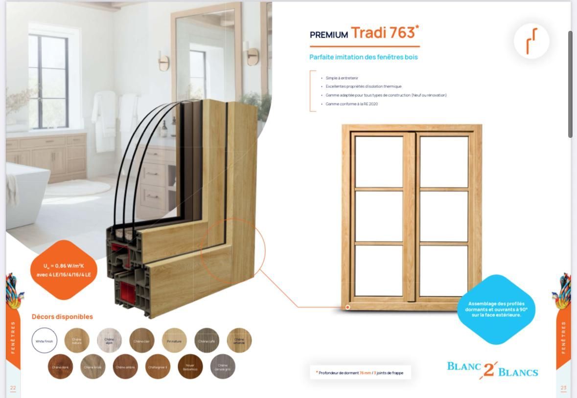 Vitrine Tradi 763. Présente une coupe transversale de la fenêtre et le produit fini. Plusieurs coloris sont proposés.