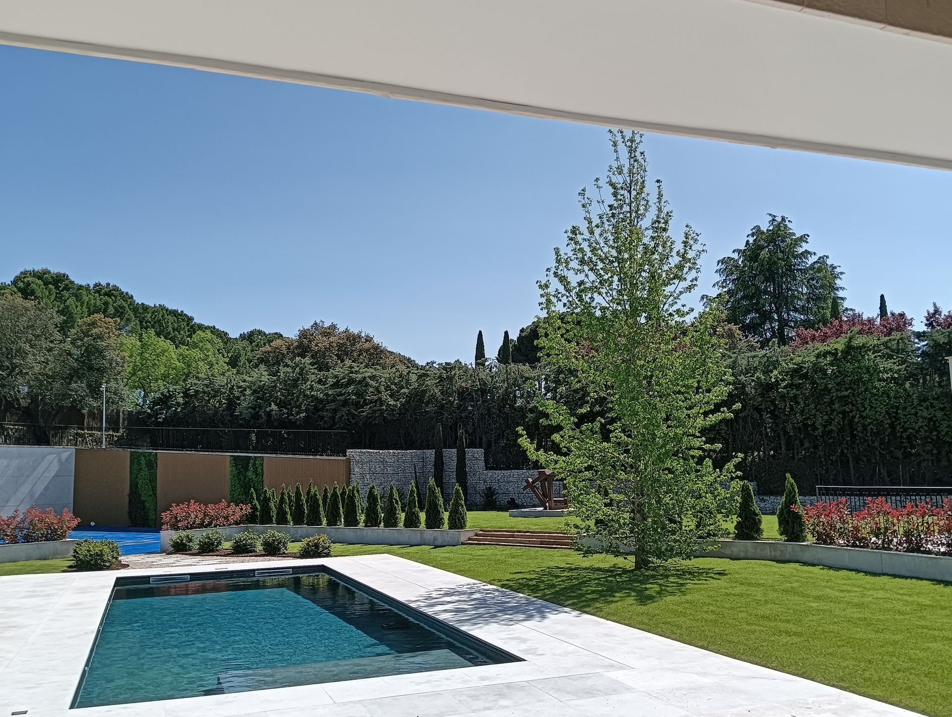 Patio trasero con una piscina rectangular, césped verde y árboles bajo un cielo despejado