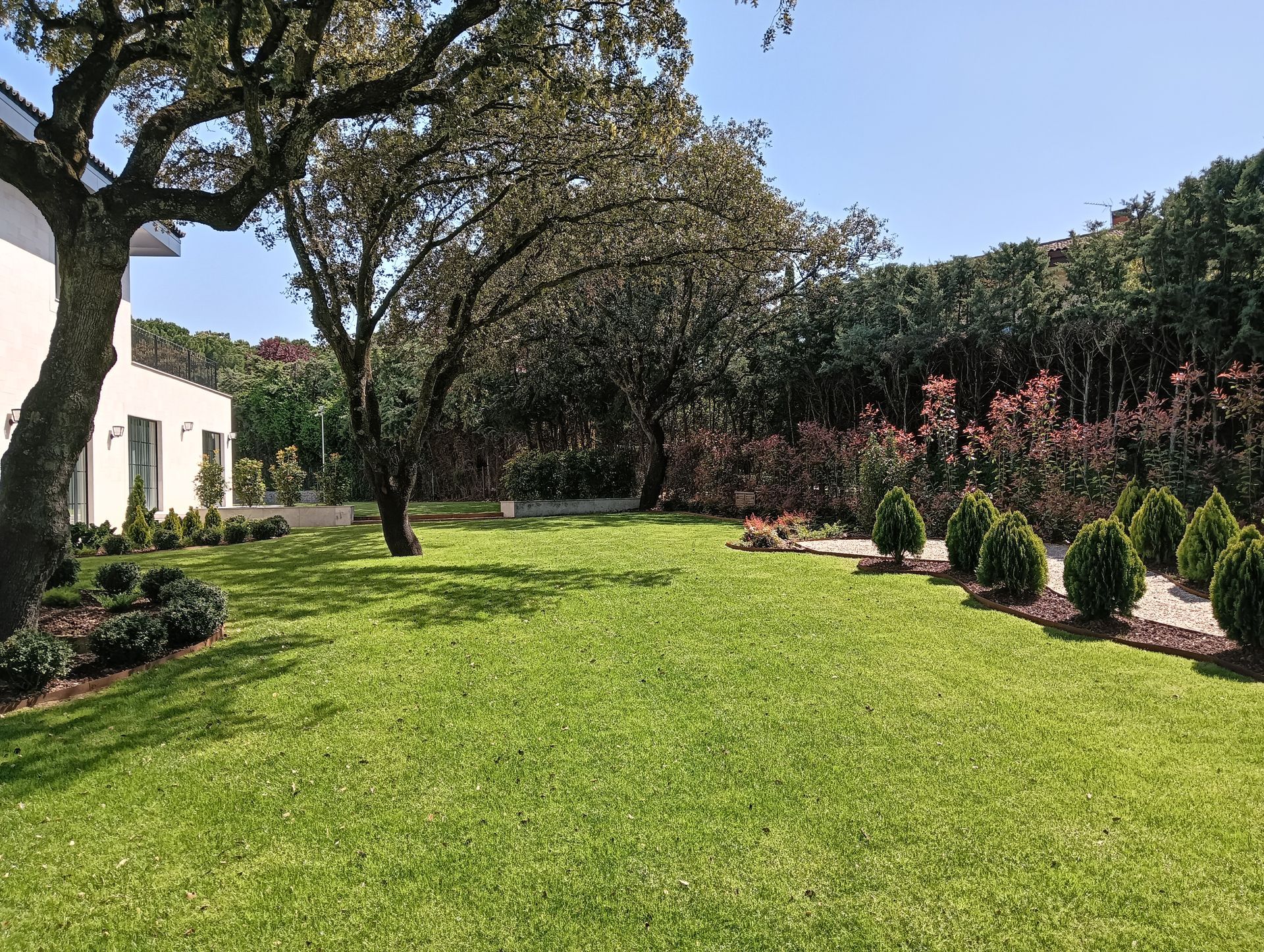 Un exuberante césped verde con árboles, arbustos y un edificio blanco en un jardín soleado y ajardinado