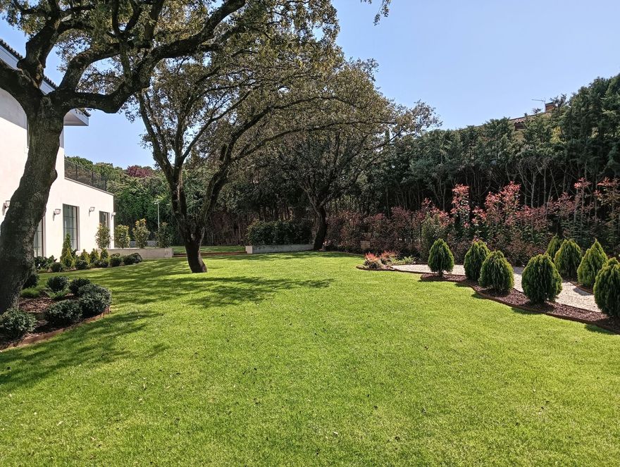 Un exuberante césped verde con árboles, arbustos y un edificio blanco en un jardín soleado y ajardinado