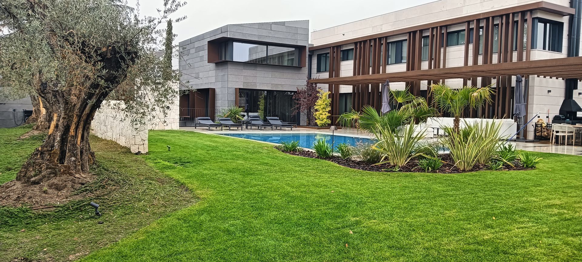 Casa moderna con césped verde, olivo y piscina bajo un cielo nublado