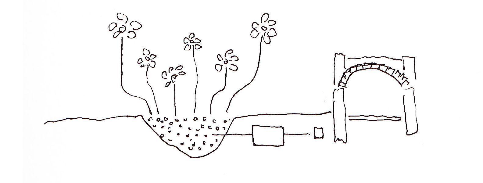 Un dibujo en blanco y negro de flores que crecen de un agujero en el suelo.