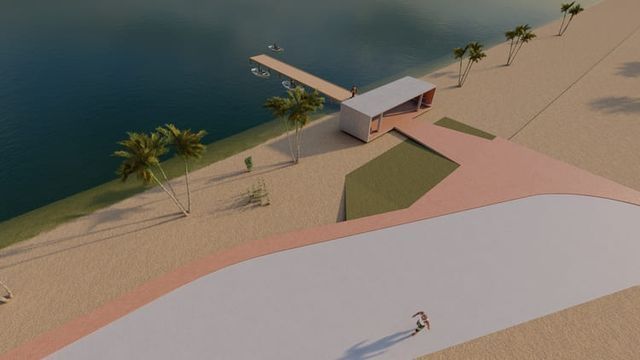 Una vista aérea de una playa con palmeras y un muelle.