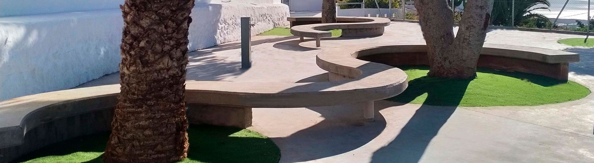 Un parque con árboles y bancos y una sombra de un árbol en el suelo.