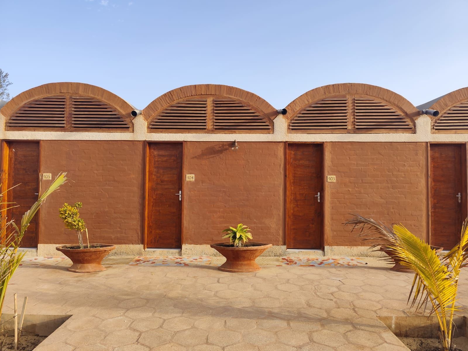Hilera de tres puertas de madera bajo rejillas de ventilación arqueadas en un patio de ladrillos bañado por el sol y con plantas en macetas.