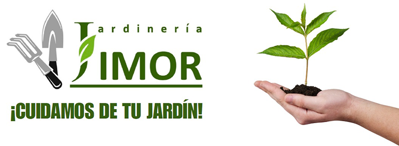 logotipo cabecera