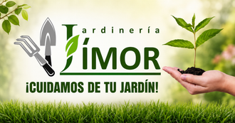 logotipo cabecera