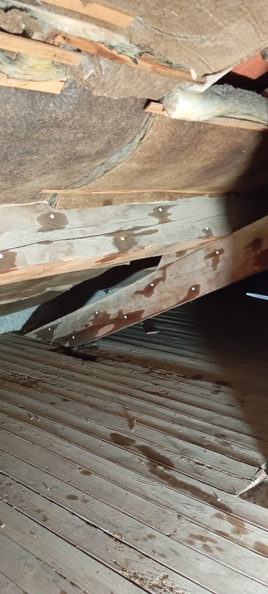 Un traitement de charpente par injection.