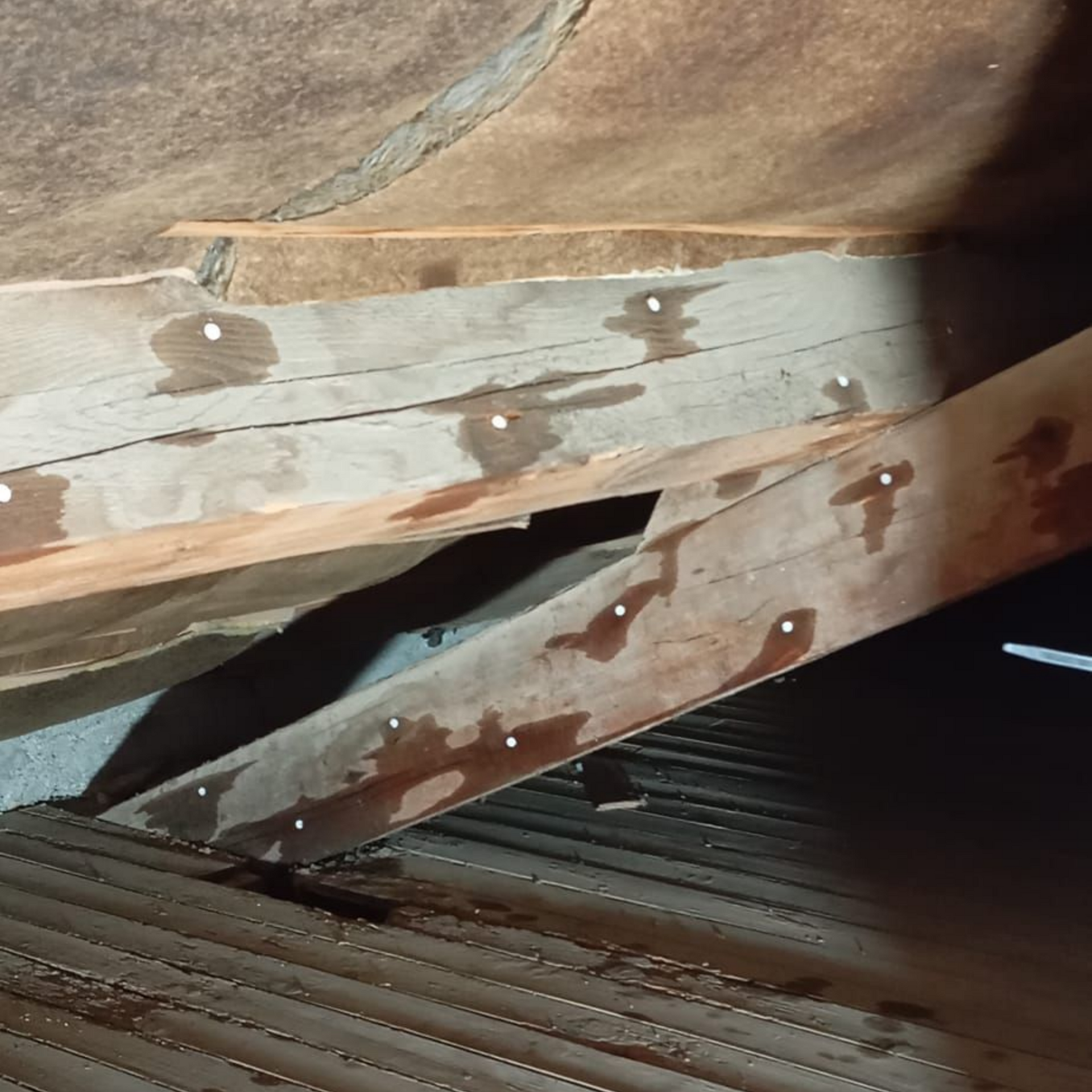 Un traitement par injection dans des combles.